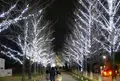 学びの森の写真_158878