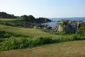 種差海岸天然芝生地の写真_1626700
