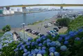 三沢空港の写真_1626776