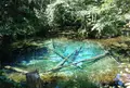 神の子池の写真_1636707