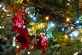 名古屋クリスマスマーケットの写真_286676
