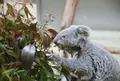 東京都多摩動物公園の写真_16973