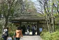 国営昭和記念公園日本庭園の写真_175743