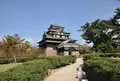 松江城の写真_206430