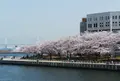 カップヌードルミュージアム 横浜の写真_307736