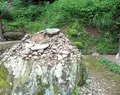 宇治上神社の写真_84960