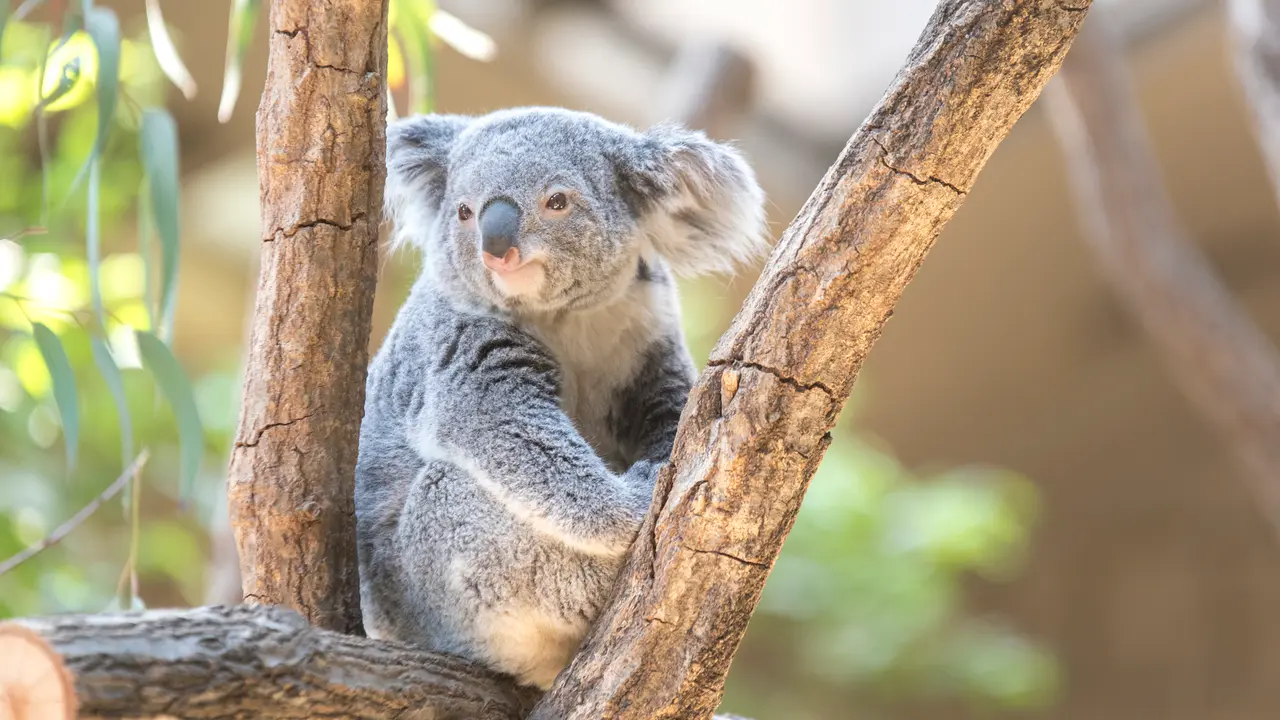 多摩動物公園 駐車場情報を徹底紹介 Holiday ホリデー