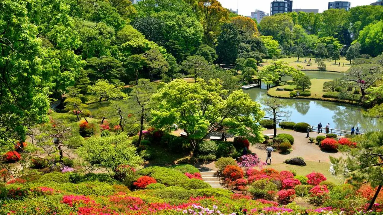 六義園の楽しみ方完全ガイド 都会で桜や紅葉を贅沢に味わえる 周辺情報も満載 Holiday ホリデー