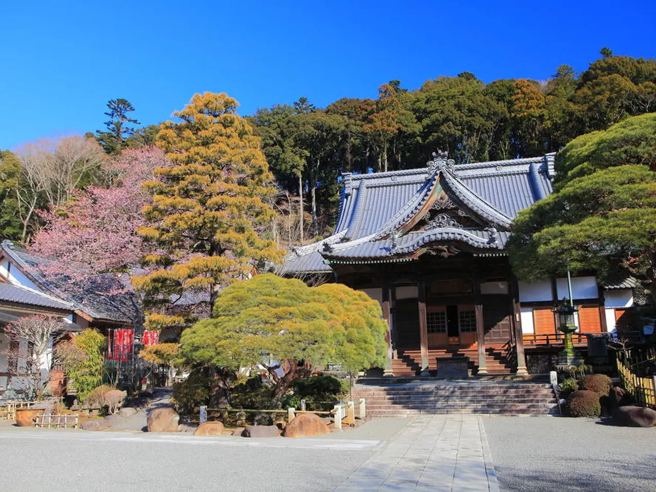 修善寺温泉旅行ガイド！人気エリアや見どころ・アクセス情報が