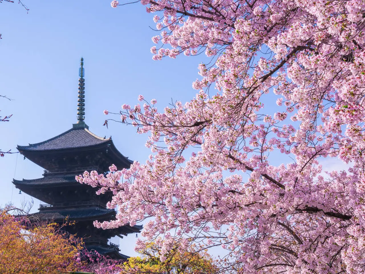 京都観光 年3月はここをチェック Holiday ホリデー