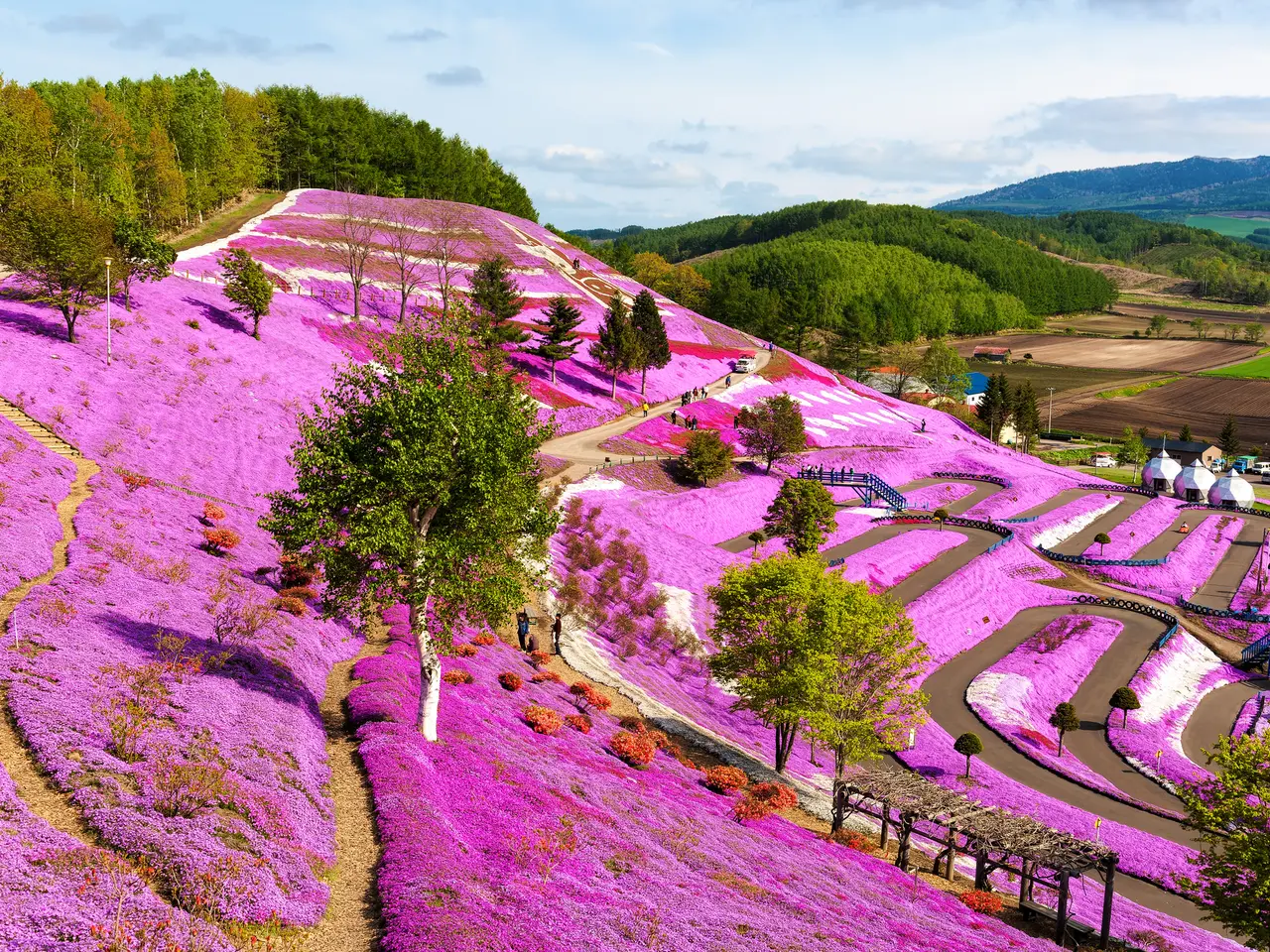 北海道観光 年5月はここをチェック Holiday ホリデー