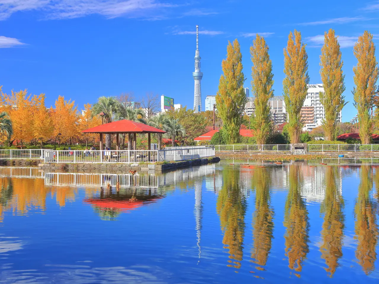 東京観光 年10月はここをチェック Holiday ホリデー