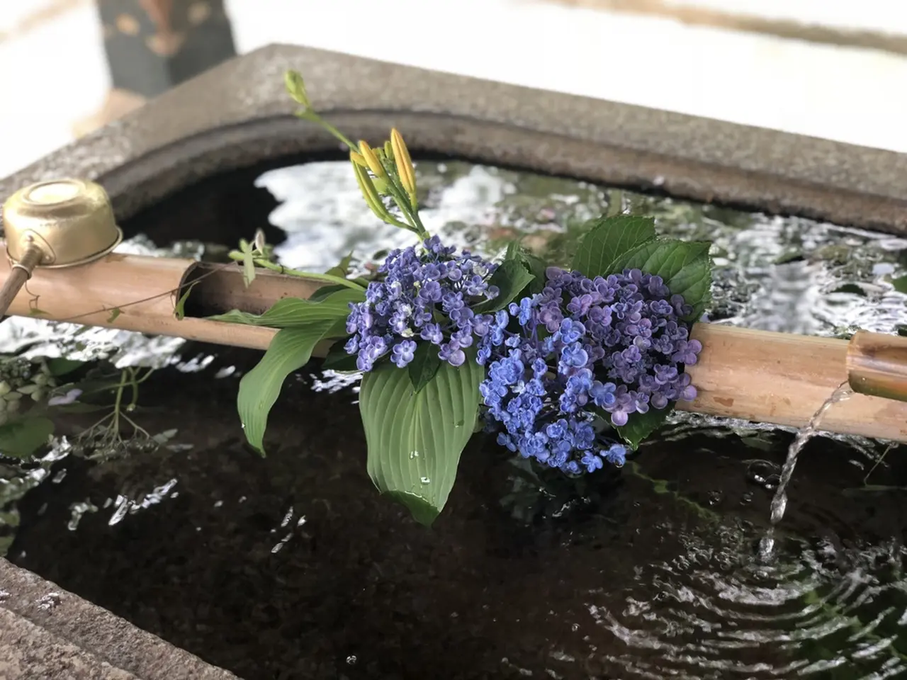 雨の日も満喫 雨の日だからこそ楽しめる 祇園 東山の歩き方ガイド Holiday ホリデー