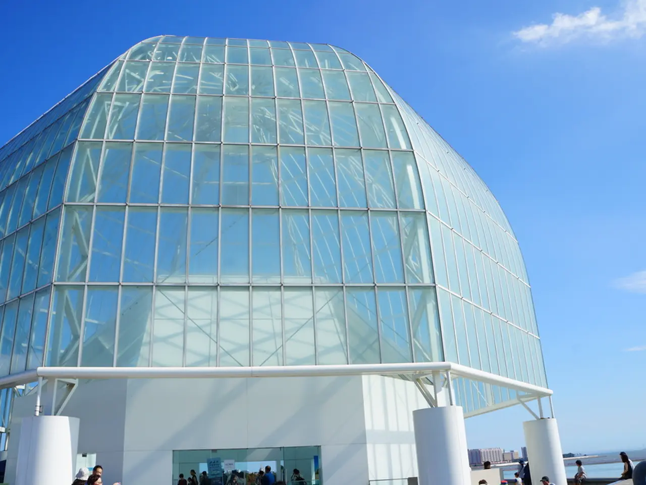 葛西臨海水族園の楽しみ方完全ガイド 観光やデートにおすすめの情報や周辺情報も満載 Holiday ホリデー