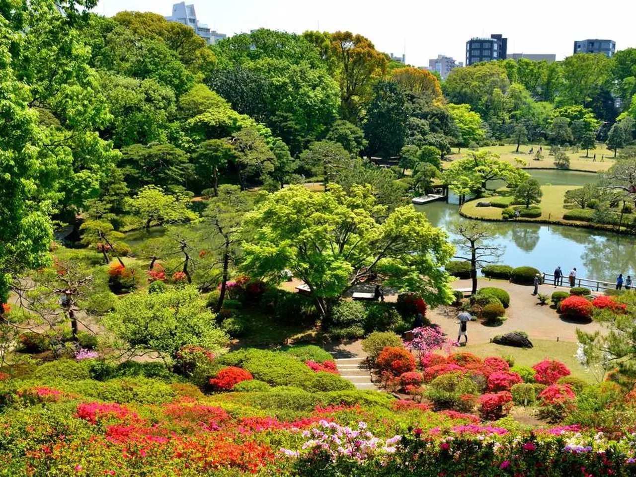 日本庭園をゆく 専用バインダー付き 全30冊-