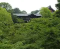 東福寺の写真_84660