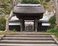 円覚寺の写真_37378