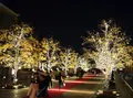 恵比寿ガーデンプレイスの写真_206947