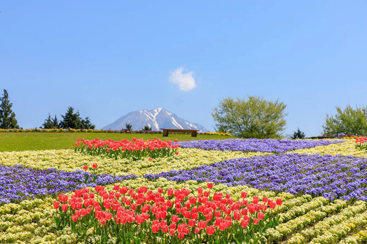 鳥取県 観光スポット紹介 鳥取砂丘をはじめ定番からアクティブに楽しめるおすすめスポットまでを厳選 Holiday ホリデー