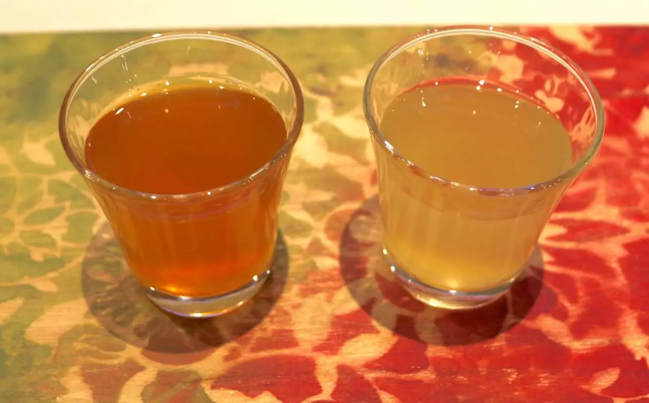 （写真左から）紅茶ベースKOMBUCHA、日本茶ベースKOMBUCHA