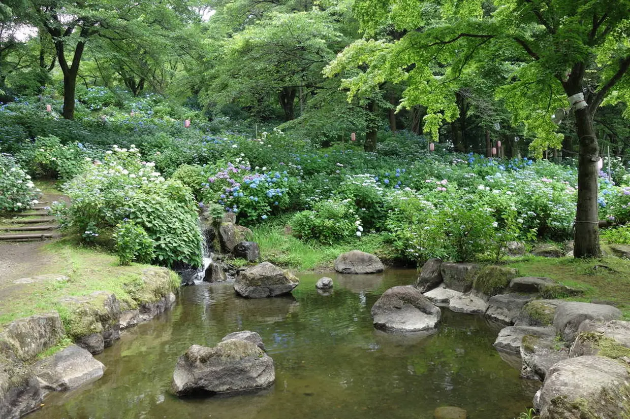 Onoike Ajisai Park