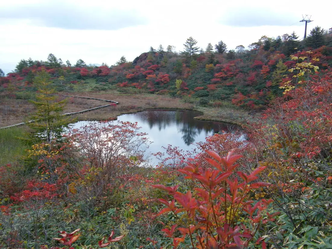 Mononugu Pond (武具脱の池)