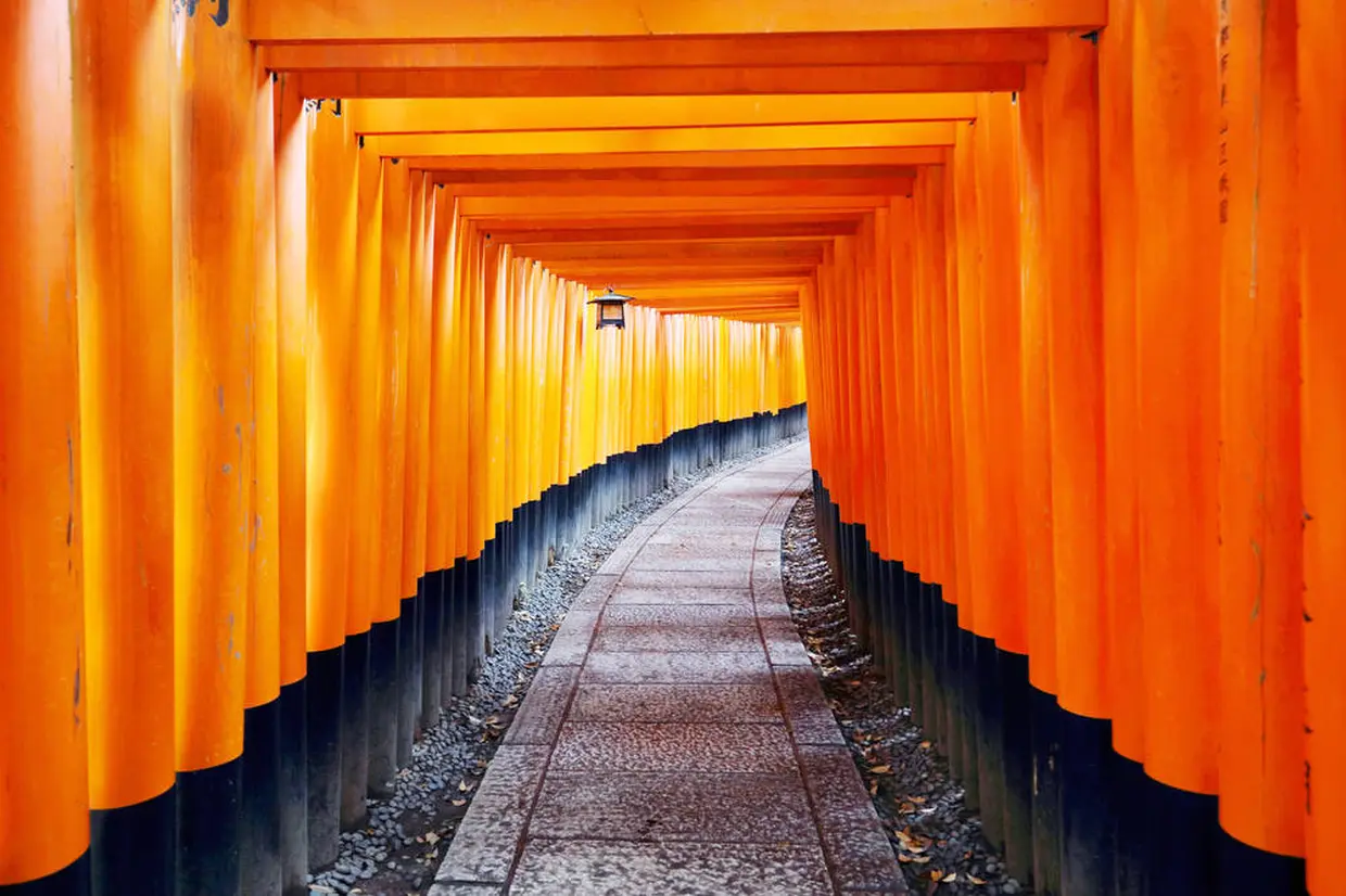 Fushimi Inari-taisha shrine (伏見稲荷退社)