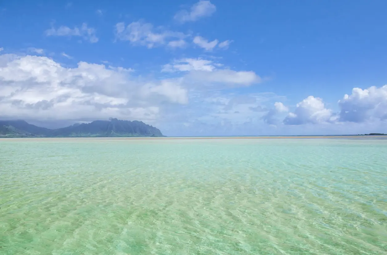 ハワイ 観光スポット紹介 大自然と絶品グルメを満喫 おすすめスポット30選 Holiday ホリデー