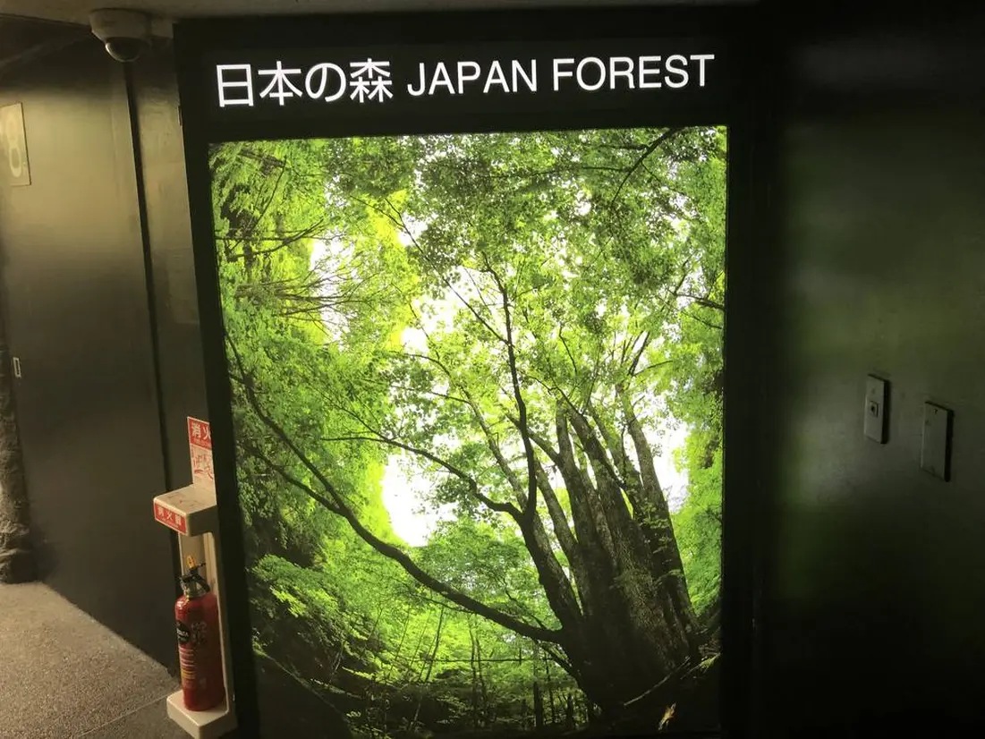 最上階は日本の森エリア