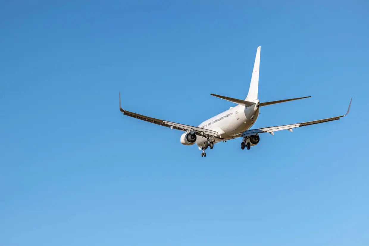 飛行機