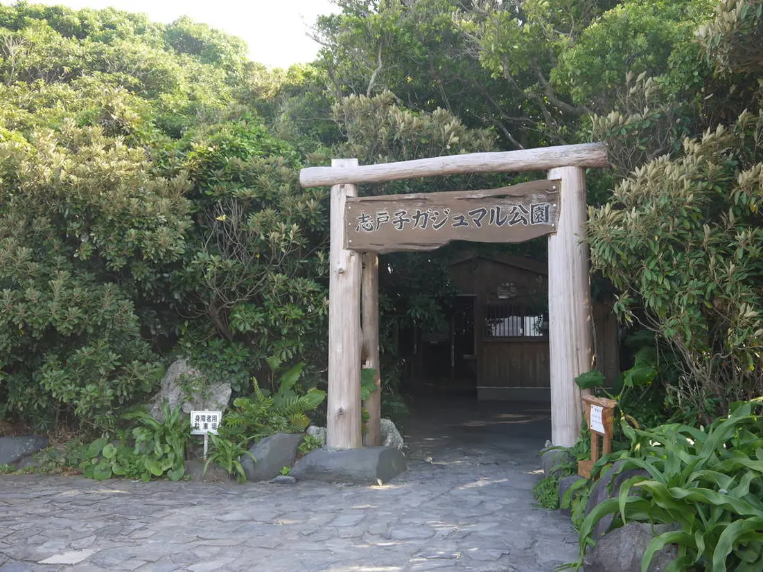 志戸子ガジュマル公園