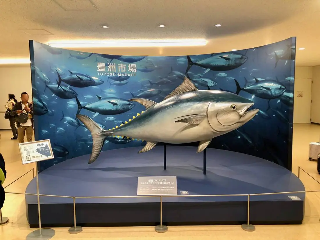 Pacific bluefin tuna Model