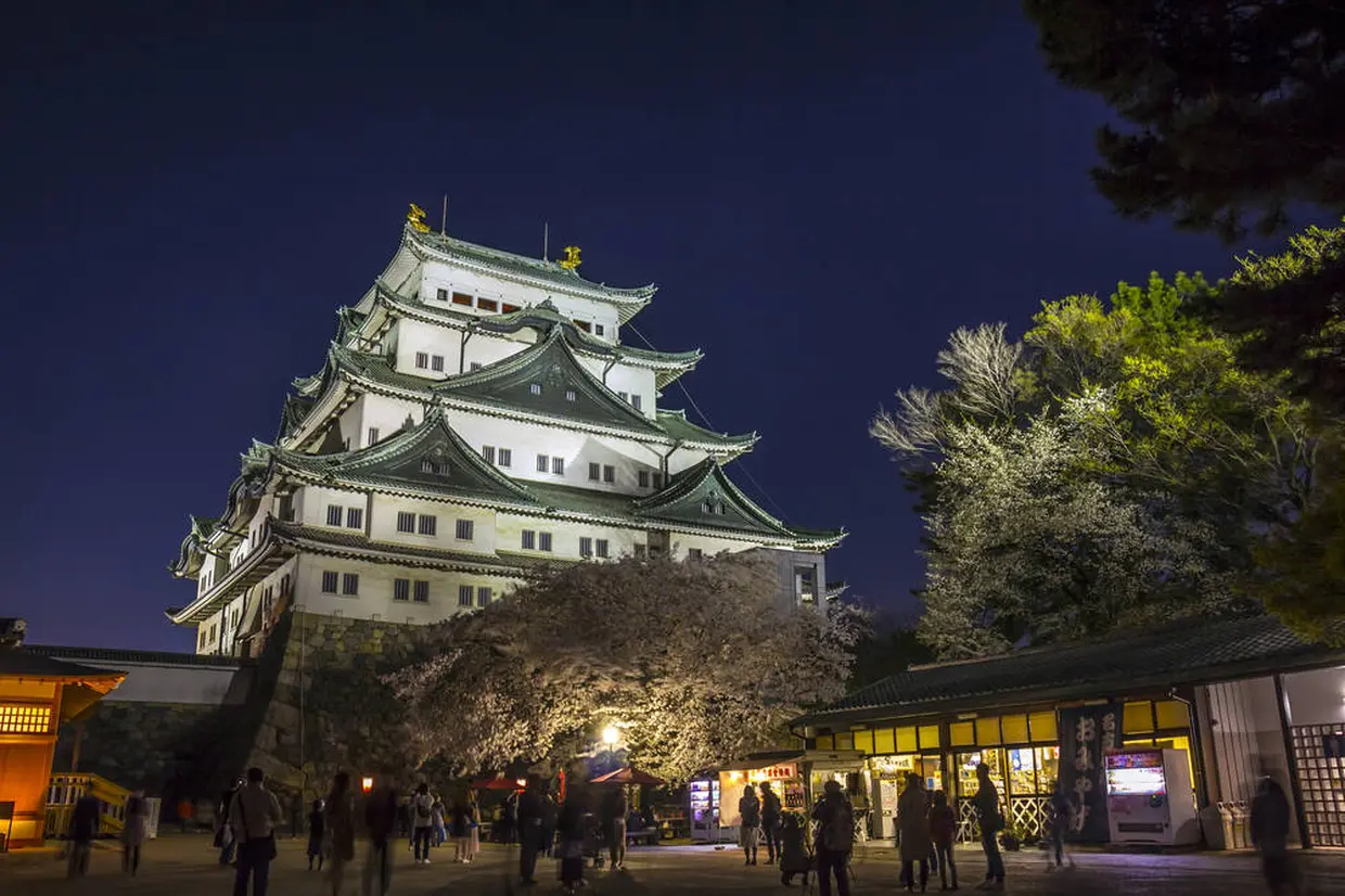 名古屋城の楽しみ方完全ガイド 日本三名城の1つ 名古屋を代表する観光スポットの見どころを徹底解説 Holiday ホリデー