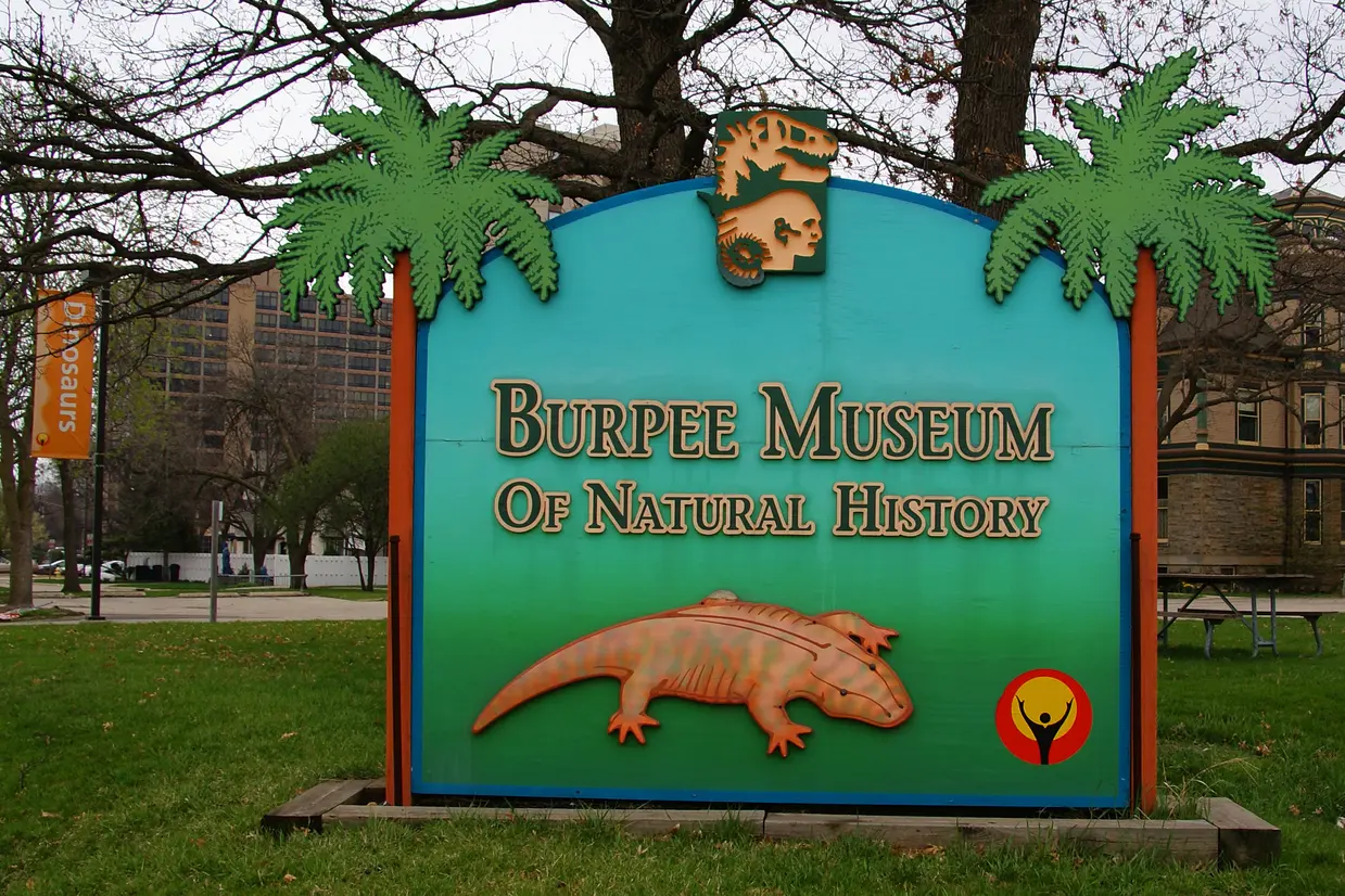 バーピー自然史博物館