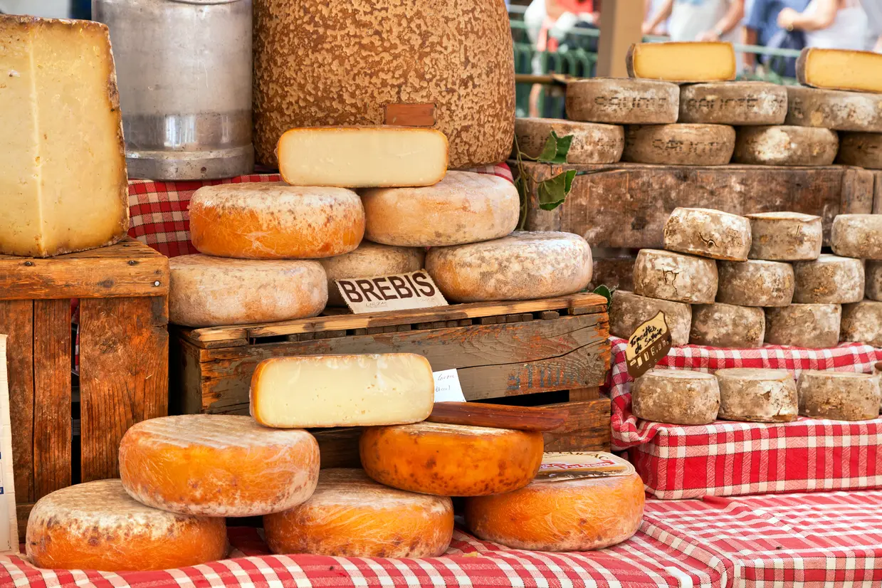 チーズ 市場