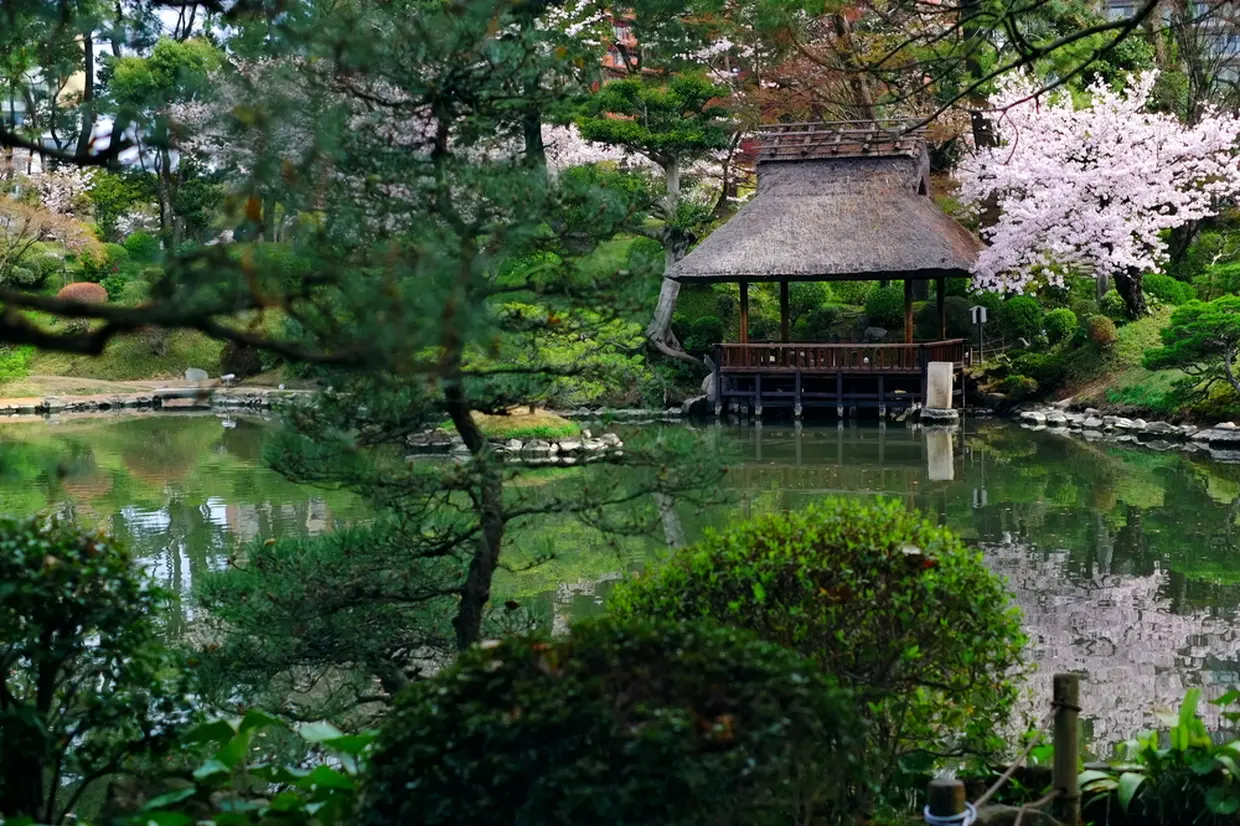 広島 縮景園の楽しみ方ガイド 四季を彩る花々と美しい庭園を味わう散歩に出かけよう Holiday ホリデー