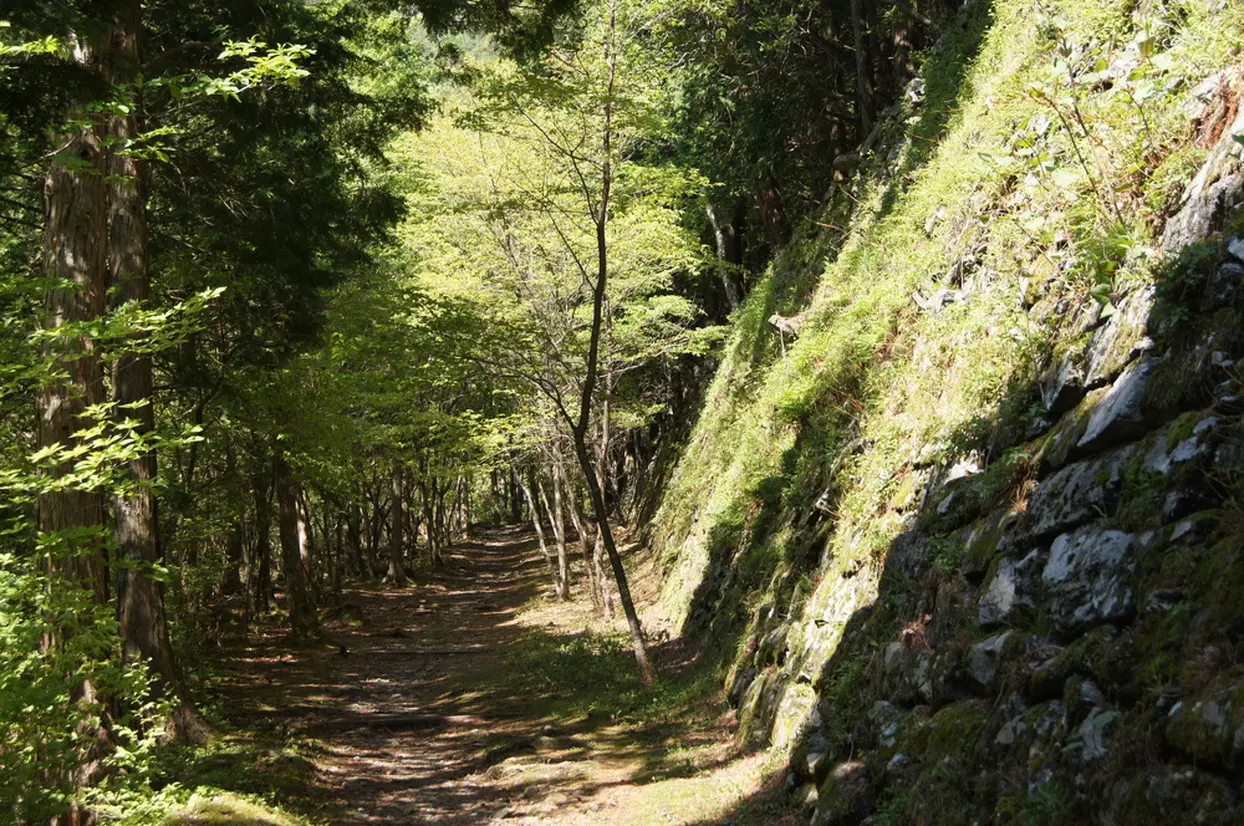 Image of Mt. Sengen hiking trail