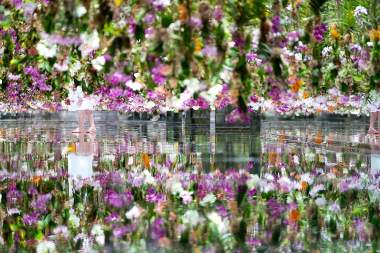 チームラボ《Floating Flower Garden: 花と我と同根、庭と我と一体》 ©チームラボ