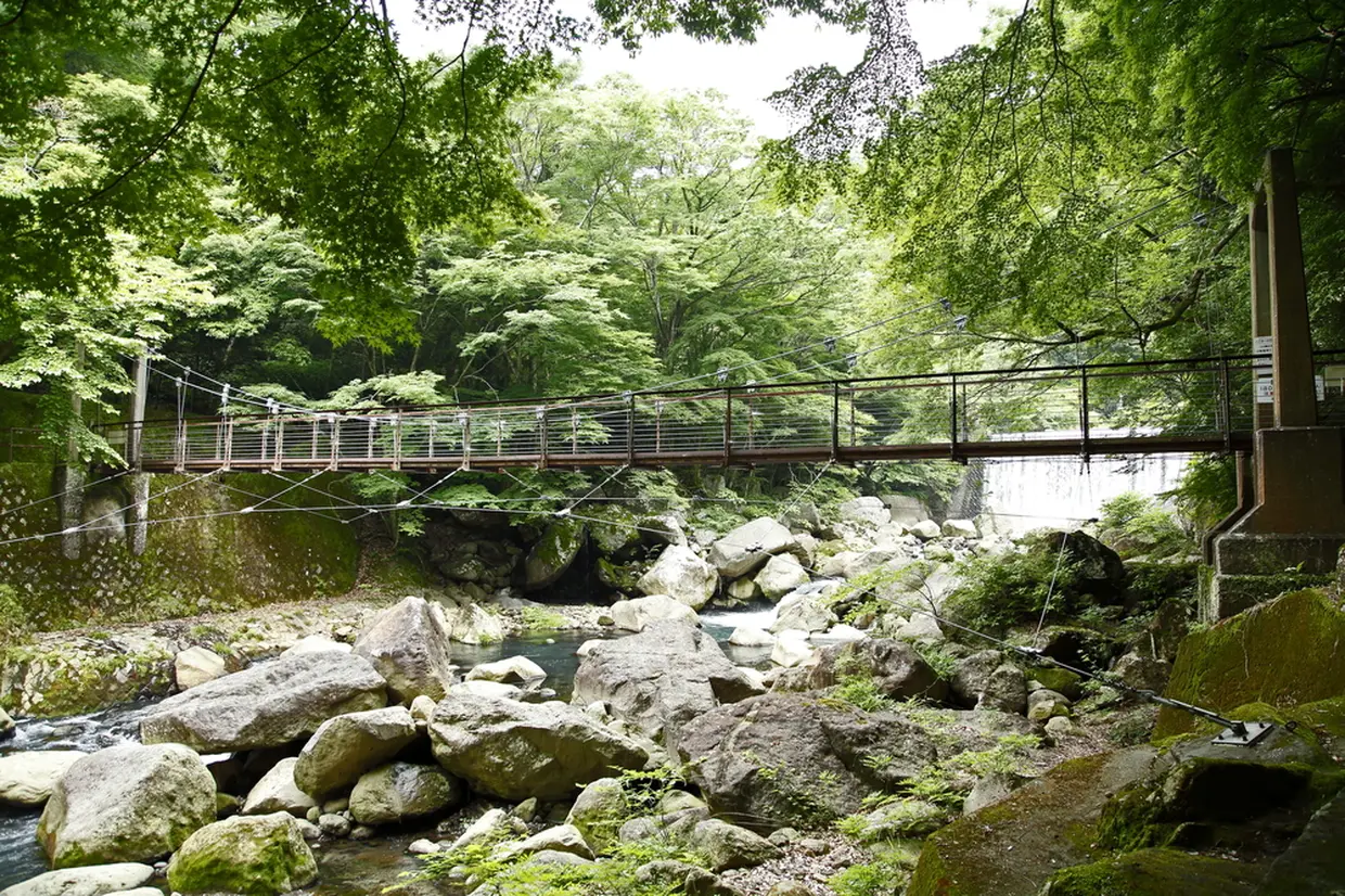 早川の桜橋
