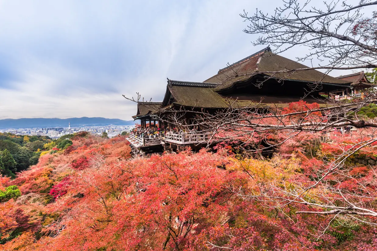 秋の京都に行くならココ】祗園・東山の秋観光で行きたいおすすめスポットを紹介！ | Holiday [ホリデー]