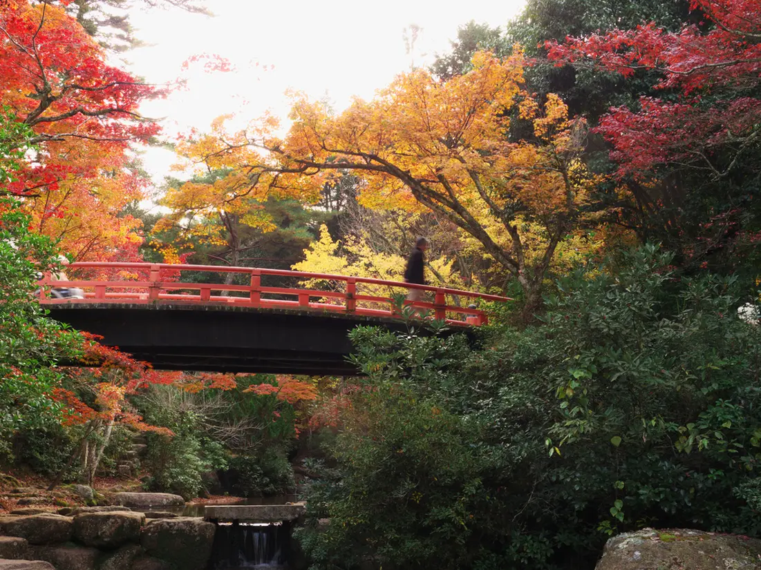 秋の広島観光ガイド おすすめの紅葉スポットやグルメを紹介 Holiday ホリデー