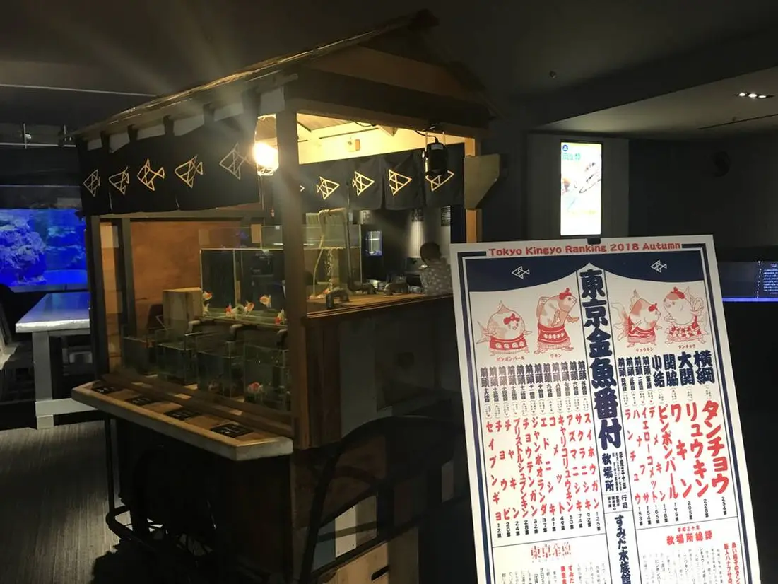 江戸リウム　金魚展示