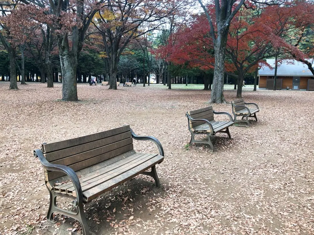 上野公園と代々木公園どっちが広い