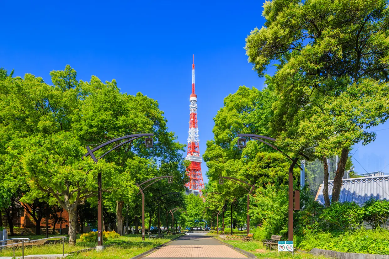 芝公園から見た東京タワー