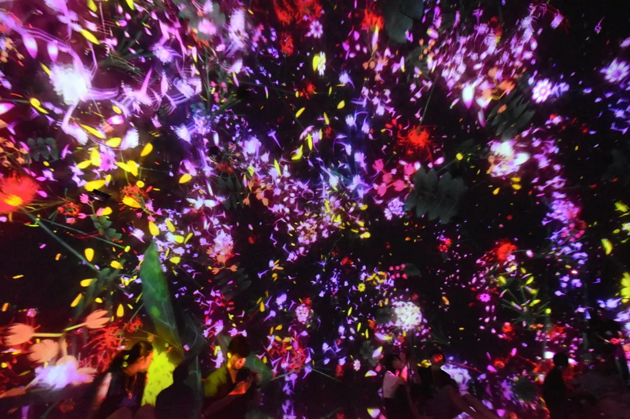Floating in the Falling Universe of Flowers チームラボ プラネッツ TOKYO DMM.com