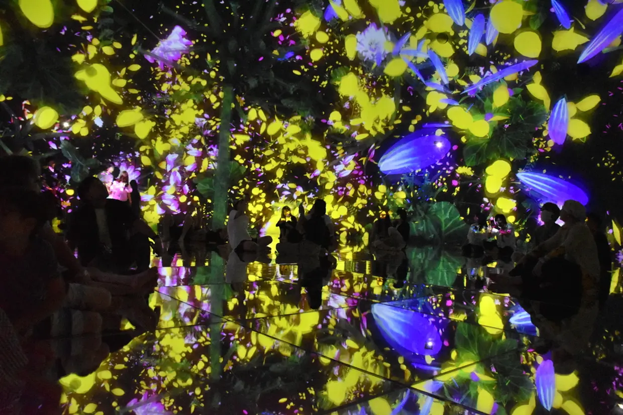 Floating in the Falling Universe of Flowers チームラボ プラネッツ TOKYO DMM.com