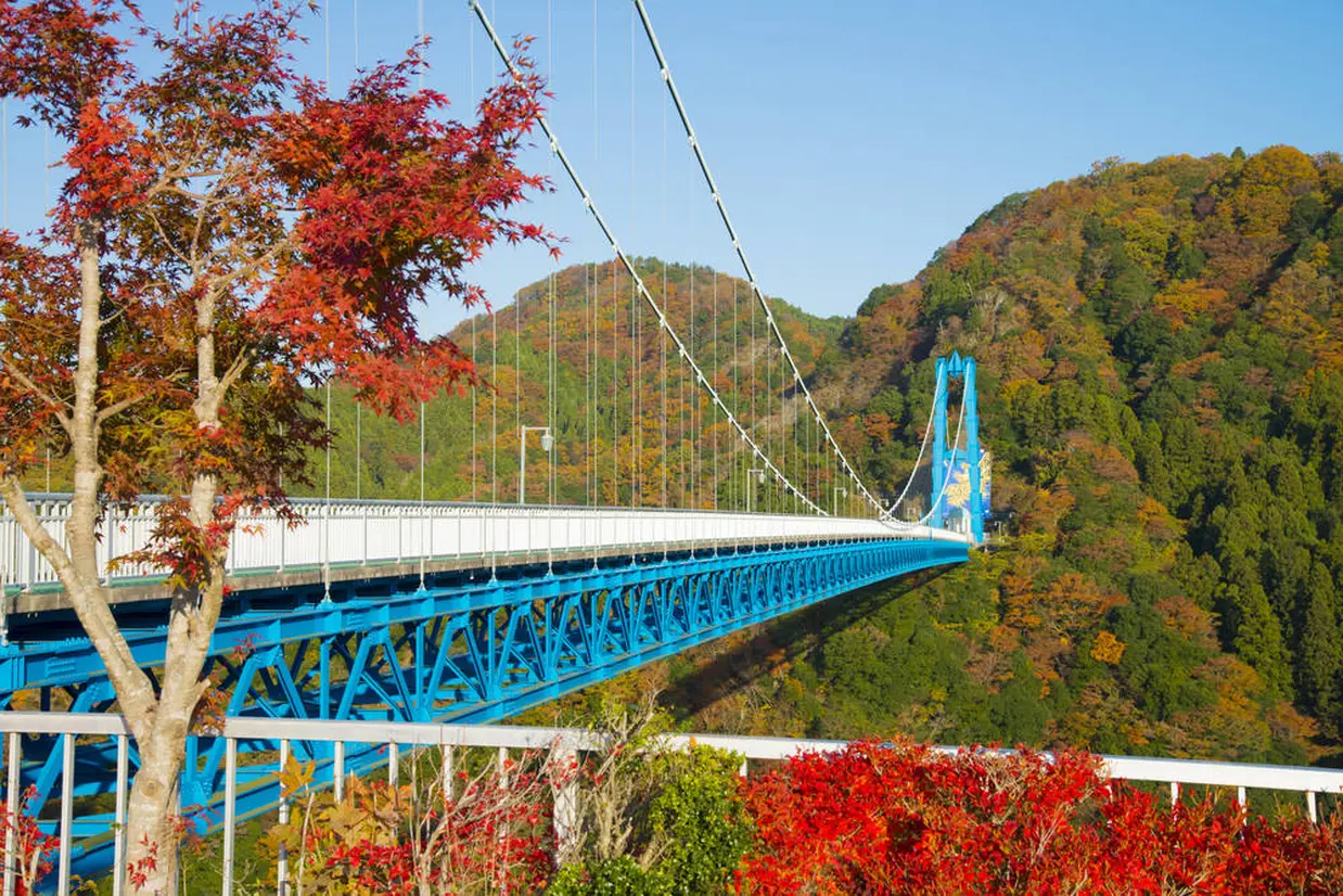 茨城県 観光スポット紹介 海や山に恵まれた魅力いっぱいの観光スポット29選 Holiday ホリデー