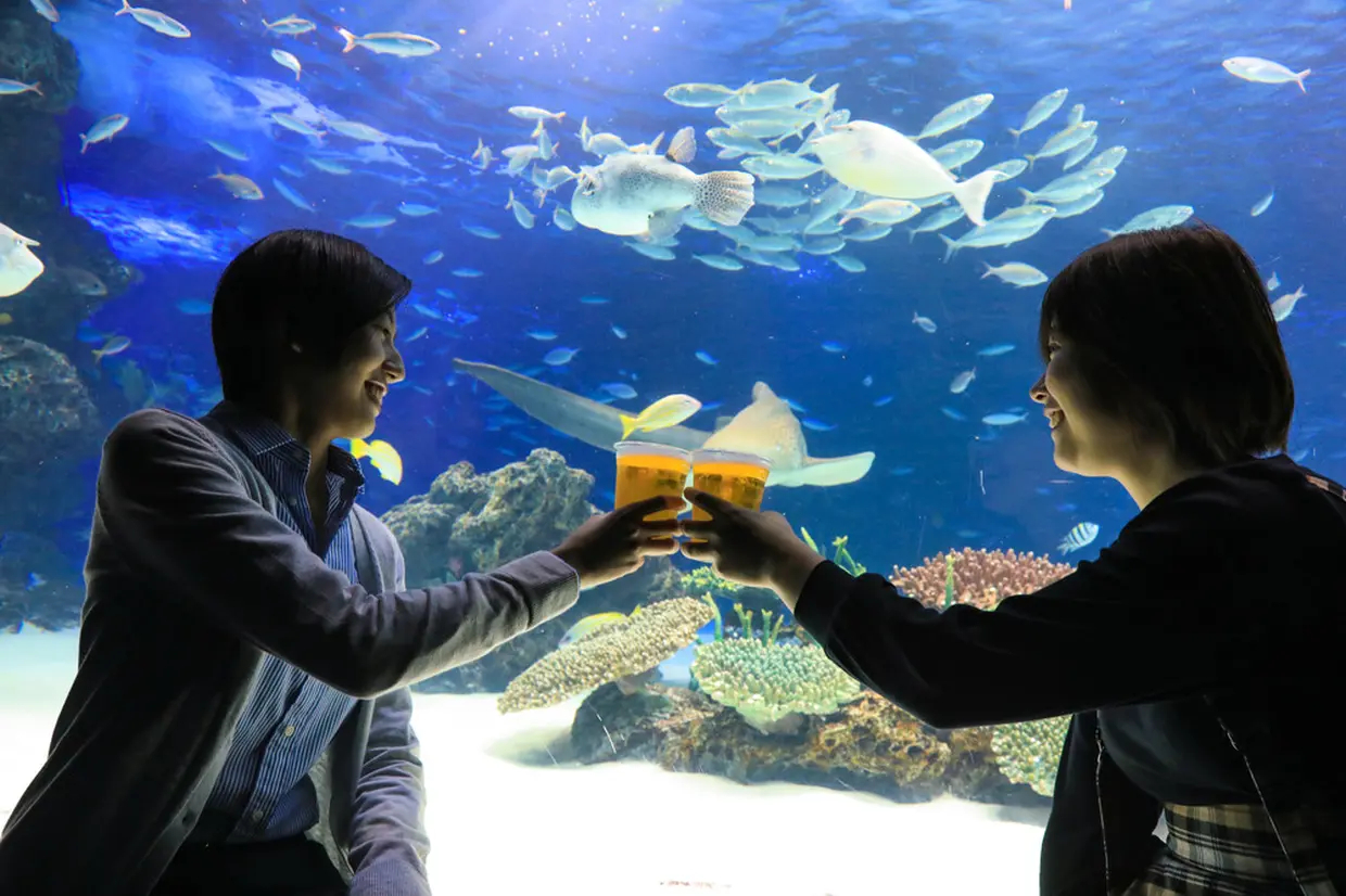 生き物たちを見ながらビールを１杯！「サンシャイン水族館 天空酒場2018」が池袋にオープン