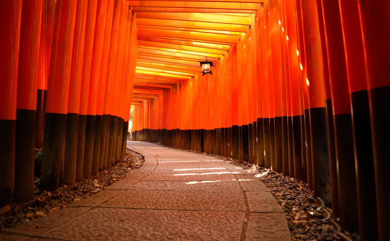 京都の癒しに関するおでかけプランが96件 Holiday ホリデー