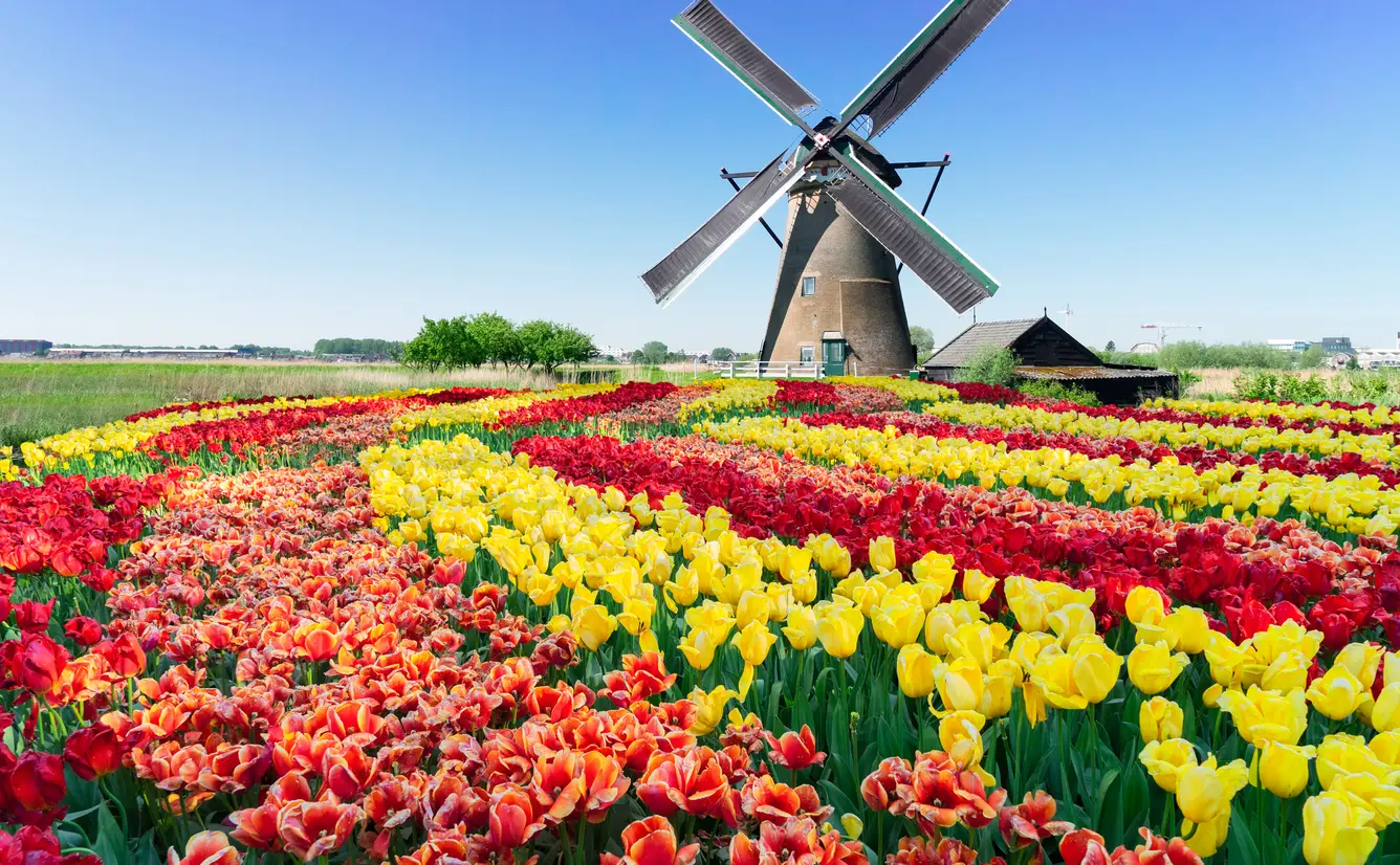 オランダの観光におすすめ 人気 定番 穴場プランが満載 Holiday ホリデー